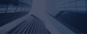 What is a ISA image