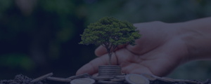 How to invest in your 60s image