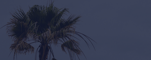 Ultimate Guide to Private Equity Investing